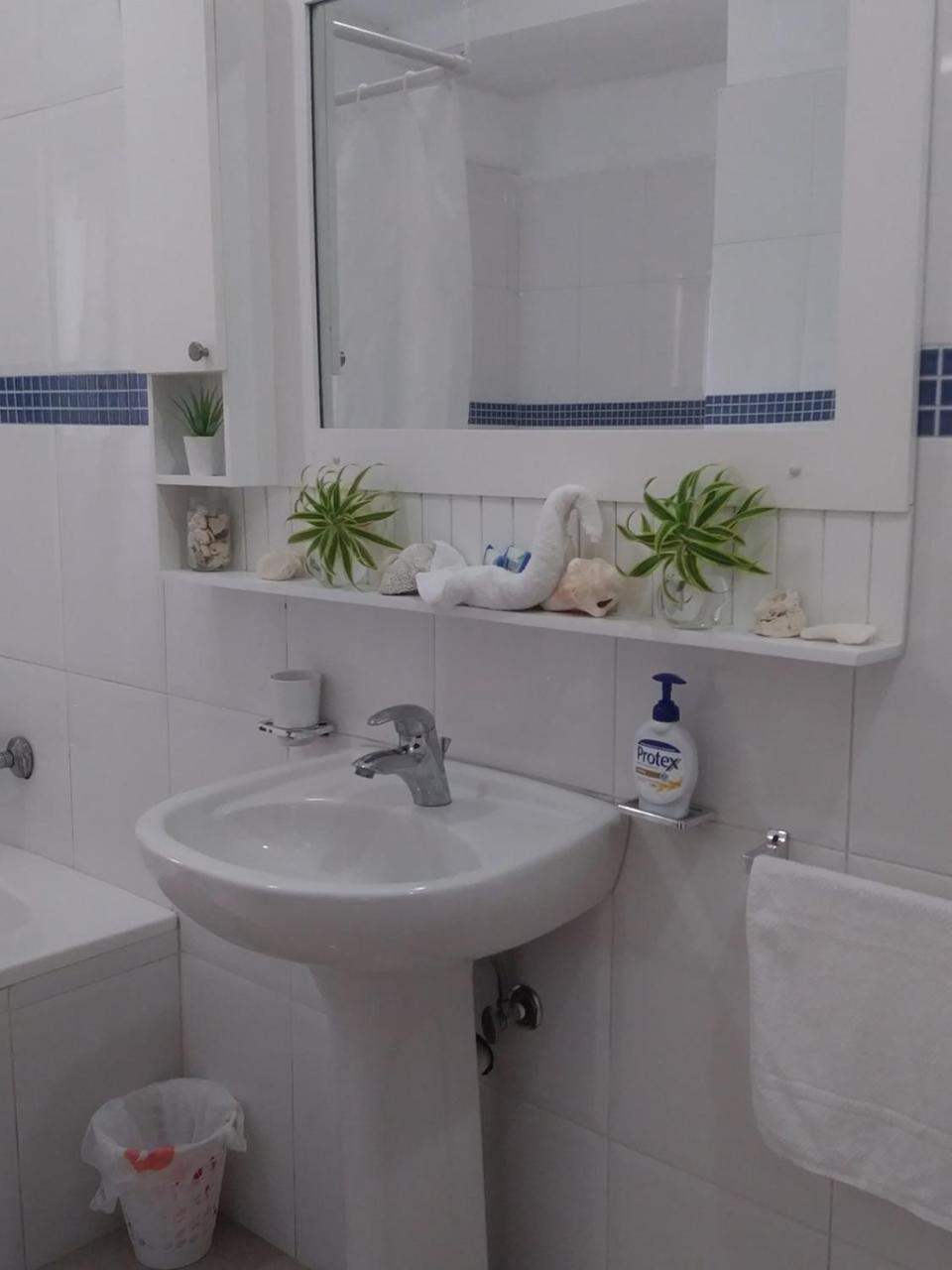 Habitacion En Sol Dominicus Solo Adultos 바야히베 외부 사진